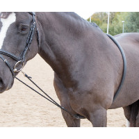 Flexibele longeerhulp Shires Zwart