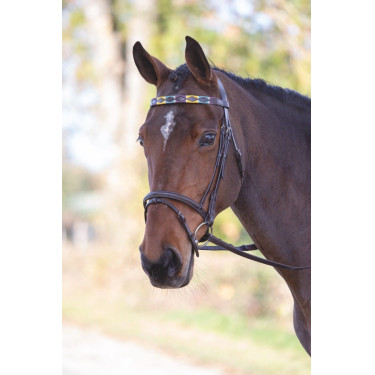 Frontal polo en cuir Shires Velociti Gara