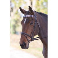 Frontal polo en cuir Shires Velociti Gara