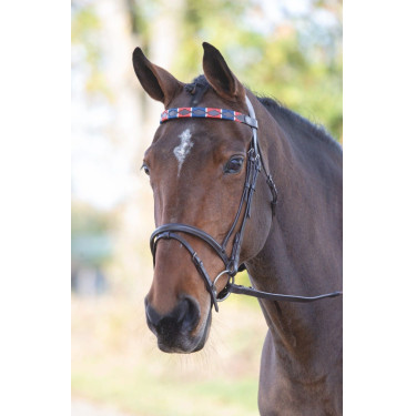 Frontal polo en cuir Shires Velociti Gara
