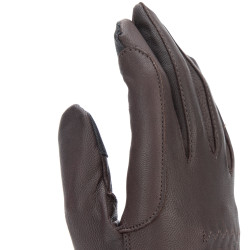 Shires Aubrion Estade rijhandschoenen Bruin