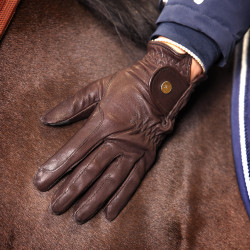 Shires Aubrion Estade rijhandschoenen Bruin