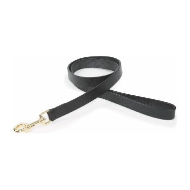 Laisse pour chien en cuir plat Shires Digby & Fox Noir