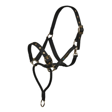 Shires Arma controlehalster Zwart