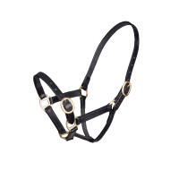 Licol en cuir réglable Shires Velociti Gara Noir