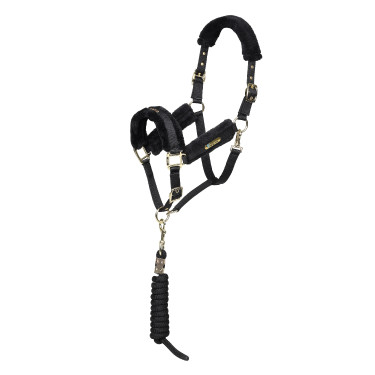 Licol et longe logo Shires Arma Noir