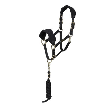 Licol et longe polaire Shires Arma Noir