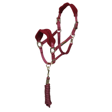 Licol et longe polaire Shires Arma Bordeaux Licol et longe polaire Shires Arma Bordeaux