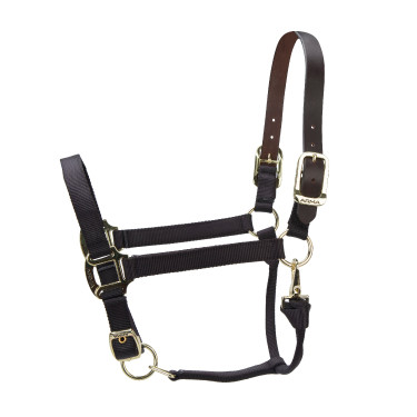 Licol FieldSafe réglable Premium Shires Arma