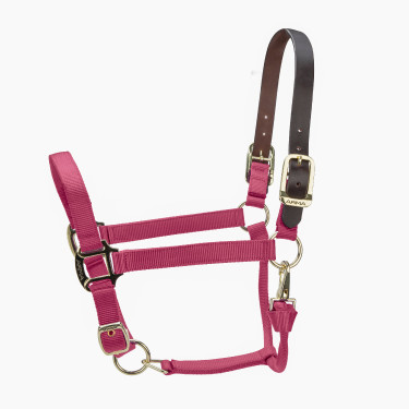Licol FieldSafe réglable Premium Shires Arma