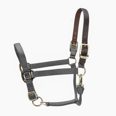 Licol FieldSafe réglable Premium Shires Arma