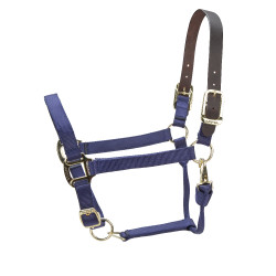 Licol FieldSafe réglable Premium Shires Arma