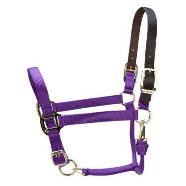 Licol FieldSafe réglable Premium Shires Arma