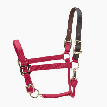 Licol FieldSafe réglable Premium Shires Arma