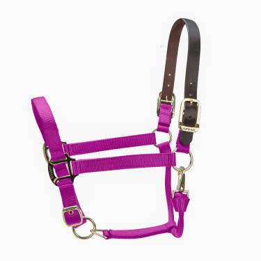 Licol FieldSafe réglable Premium Shires Arma
