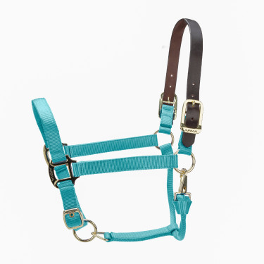 Licol FieldSafe réglable Premium Shires Arma