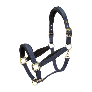 Licol matelassé Shires Arma Marine Bleu marine