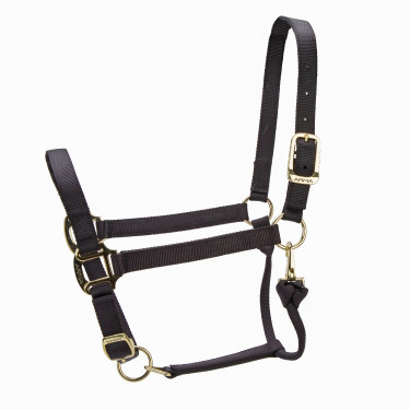 Licol réglable Premium Shires Arma Noir