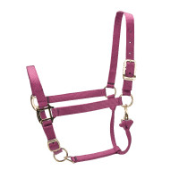 Licol réglable Premium Shires Arma Bordeaux