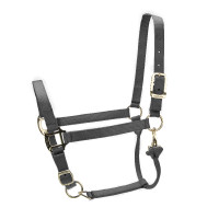 Licol réglable Premium Shires Arma Noir