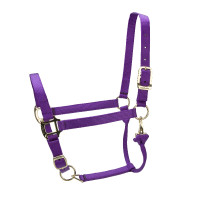 Licol réglable Premium Shires Arma Violet