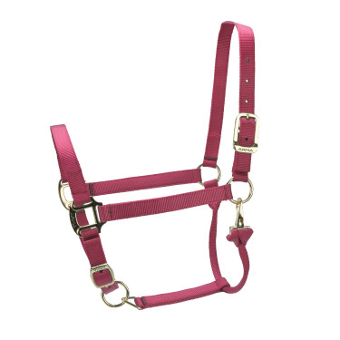 Verstelbaar halster Premium Shires Arma Rood