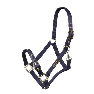 Licol réglable Shires Arma Marine Bleu marine