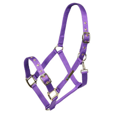 Licol réglable Shires Arma Violet Licol réglable Shires Arma Violet