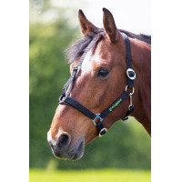 Licol Shires Greenguard Noir Licol Shires Greenguard Noir