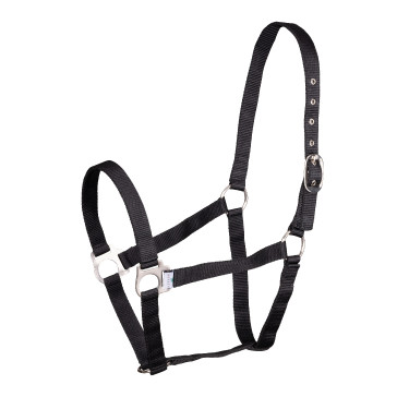 Licol Shires Wessex Noir