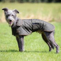 Manteau ciré pour lévrier Shires Digby & Fox Olive Vert