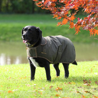 Gewaxte jas Shires Digby & Fox Olijfkleurig Groen