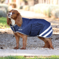 Manteau imperméable léger pour chien Shires Digby & Fox Marine Bleu marine