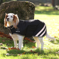 Manteau imperméable pour chien Shires Digby & Fox Noir