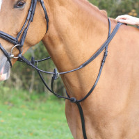Martingale à anneaux Shires Velociti Gara Noir