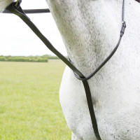 Shires Velociti Gara vaste martingaal Zwart