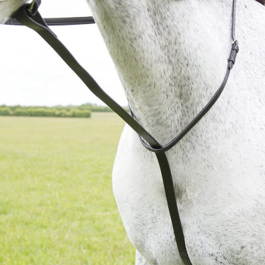 Shires Velociti Gara vaste martingaal Zwart
