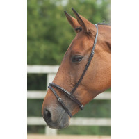 Muserolle française flash Shires Velociti Gara