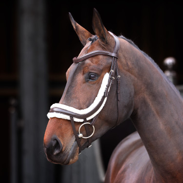 Franse gebogen neusriem met fleece Shires Velociti Rapida Bruin Franse gebogen neusriem met fleece Shires Velociti Rapida Bruin