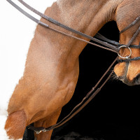 Rênes allemandes élastiques Shires Velociti Gara Marron Rênes allemandes élastiques Shires Velociti Gara Marron