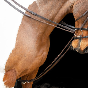 Rênes allemandes élastiques Shires Velociti Gara Marron