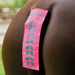 Sangle de queue Shires Equi-Flector® Rose vif