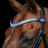 Frontal Imperial Riding Slim Bleu