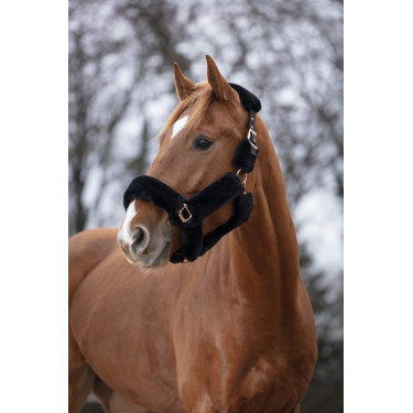 Halster Equithème Teddy roségoud Halster Equithème Teddy roségoud