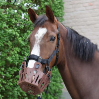 Panier de pâturage cheval 25 mm Lami-Cell | Équitation Panier de pâturage cheval 25 mm Lami-Cell | Équitation