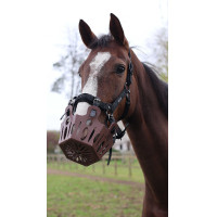 Panier de pâturage cheval 25 mm Lami-Cell | Équitation Panier de pâturage cheval 25 mm Lami-Cell | Équitation