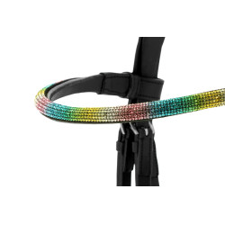 Bridon Norton PRO- EK-Rainbow