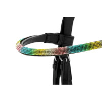Norton PRO Rainbow Hoofdstel