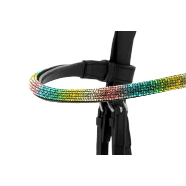 Norton PRO Rainbow Hoofdstel