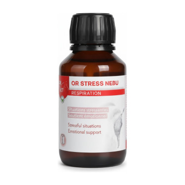 Of Stress Nebu Of Vet
